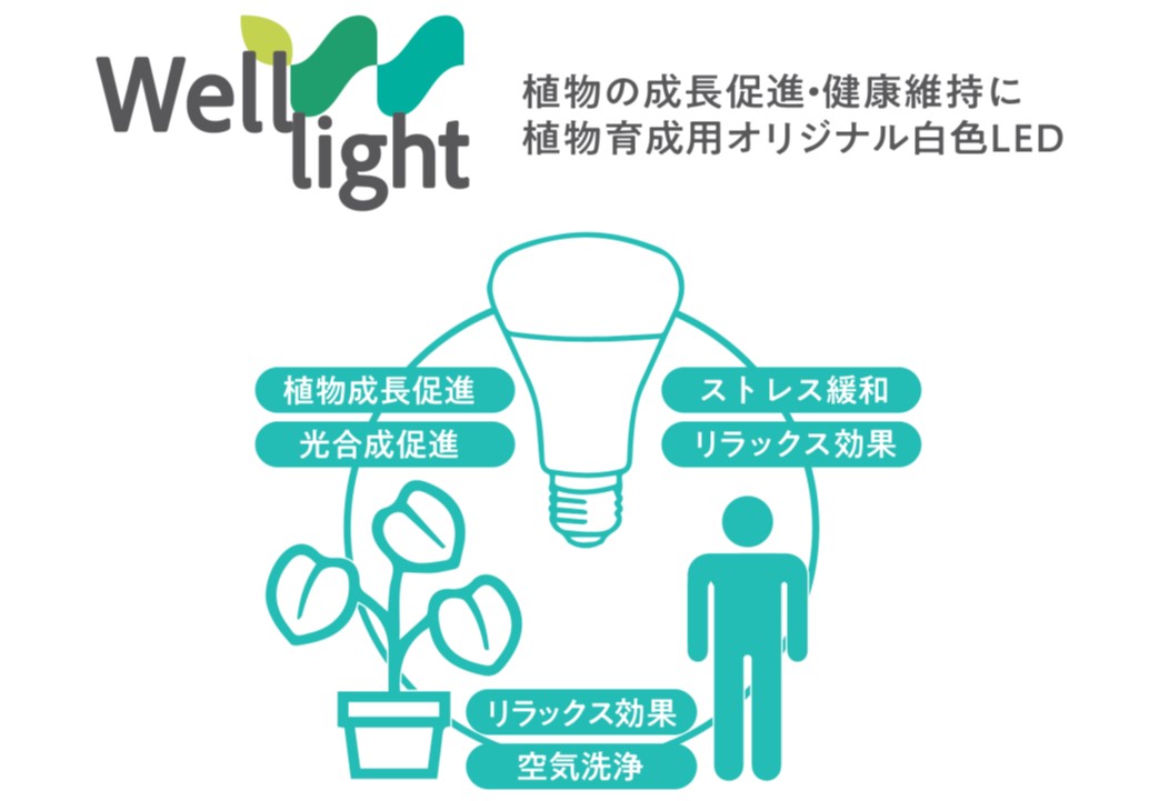 植物育成用LEDライト「Well-light(ウェルライト)」 | 【日比谷花壇